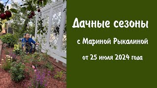 Дачные сезоны с Мариной Рыкалиной от 25 июля 2024 года