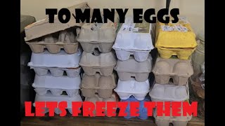 How to freeze eggs