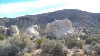 RV Camping: The Joshua Tree Park "A bit about"