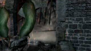 witcher 2009-10-25 00-34-34-73.avi