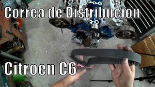 La correa de distribucion 2.7 hdi