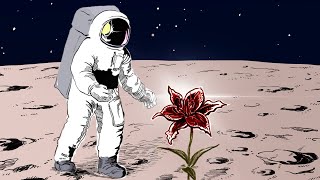 @PapaJams - over the moon [official audio]