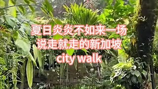 新加坡夏日奇遇记 —— 解锁City Walk终极攻略！