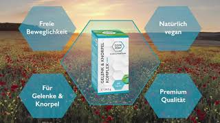 CODE VITAL Gelenk & Knorpel Komplex für die Beweglichkeit | D-Glucosaminhydrochlorid & Phytodroitin