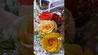 Beautiful Rose Flower #satisfying #shorts #viral