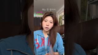 ASMR 고민상담소 | “사랑은 쟁취야.” #shorts