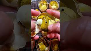 Balut eggs are super delicious p502#funy #animals #fyp