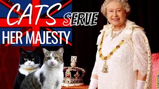 CATS IN THE SERVICE OF HER MAJESTY - LARRY the CAT - PALMERSTON, Gladston, Lawrence of Abdoun, Freya