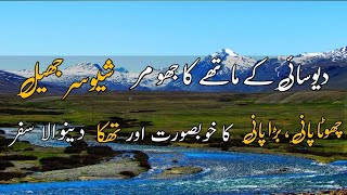 INCREDIBLE EXPERIENCE IN DEOSAI NATIONAL PARK NIGHT RIDE TOWARDS BARA PANI | RAJA FANI