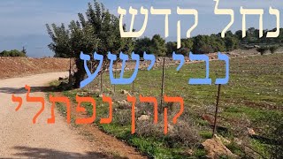 נחל קדש, מצודת נבי יושע, קרן נפתלי