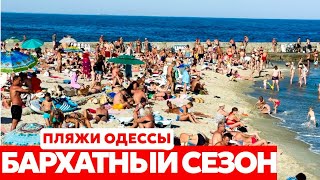 ОДЕССА БАРХАТНЫЙ СЕЗОН 2024