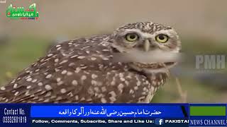 WHY OWL IS SO SILENT  AND ALONE FULL VIDEO#islamic #story