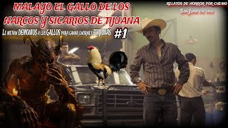 LES METIERON DEMONIOS A LOS GALLOS PARA GANAR ENORMES FORTUNAS / los gallos de los S1CARIOS parte #1