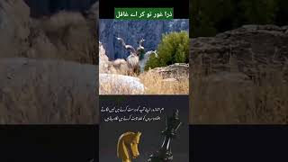 Golden Urdu Quotes #shorts #islam #ytshorts #youtubeshorts #viral