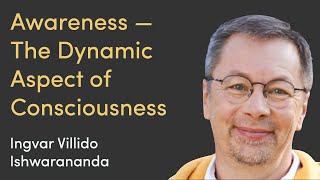 Using Awareness: The Dynamic Aspect of Consciousness