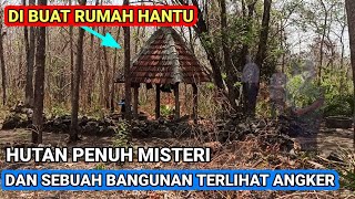 viral ❗muncul cungkop di tengah hutan gunung citro & terlihat sakral tanpa ada orang