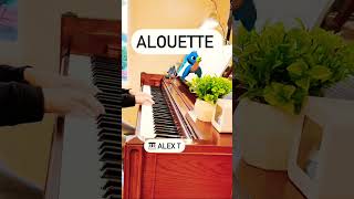 ALOUETTE - French Children’s Song 🎶 #piano #pianomusic #frenchmusic #pianoforbeginner #pianolessons