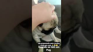 #inscreva_se #pets #jakeopug