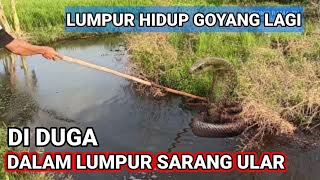 viral di jombang Akibat ❓gempa megathrust lumpur hisap  terguncang lagi heboh di jatim