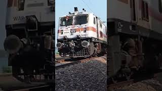 EAGLE stuck on windshield grill #WAP7 #shorts #indianrailways