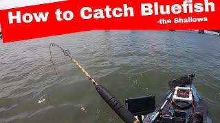 One Way to Target Bluefish - The Shallows // Kayak Fishing New Jersey //