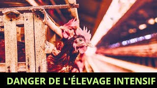 LES DANGERS DE L'ÉLEVAGE INTENSIF