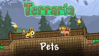 What Are All Boss Pets Found In Terraria?