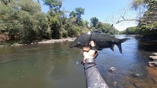 última pescaria da temporada (pesca com estilingue) #guiadomato #pescadeestilingue