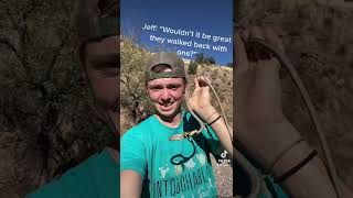 Back to finding Berks first Vine Snake!🤣🤣 Full video on the channel!