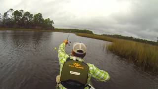 Topwater Redfishing