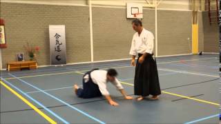 Aikido Techniques TAKN; NIkkyo