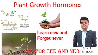 Plant Hormones for CEE ,NEB  biology by Aashik Jha