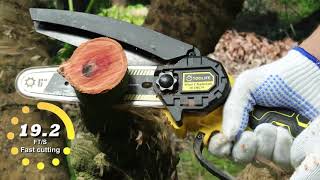 6 Mini Cordless Chainsaw