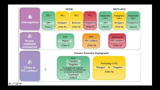 ACS ESC guidelines part 2 B