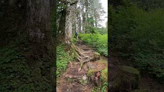 Alaskan Hiking - Whittier Alaska #alaskaextreme#alaska