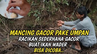 MANCING IKAN WADER SUPER GACOR|mancing teknik Kumbul umpan  roti klik campur udang