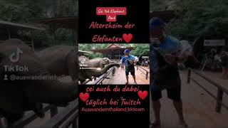 Kanchanaburi Tour 2023 Sai Yok Elefanten Camp!Das Altersheim der Elefanten!Sei auch Du Dabei Twitch