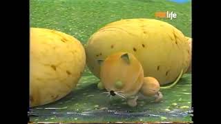 Vegimals - Gato - BabyTV