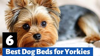 6 Best Dog Beds for Yorkshire Terriers