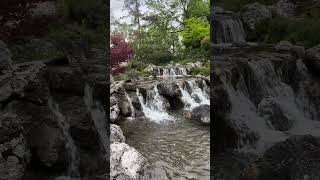 A Waterfall Escape 🌊🌳