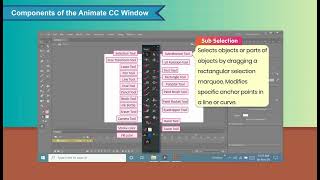 Components of the Animate CC WindowICh 06|Touchpad Prime v2.1IClass 06