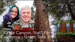 Sequoia & Kings Canyon:  Kings Canyon &  The Grant Tree Trail