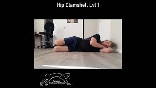 Hip Clamshell Level 1 #physicaltherapy