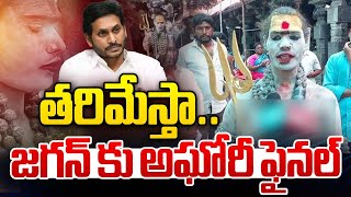 తరిమేస్తా..జగన్ కు అఘోరీ ఫైనల్ 🔴LIVE : Lady Aghori Final Warning To YS Jagan | Wild Wolf Digital