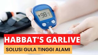 Habbatussauda Habbat's Garlive Telah Terbukti Menurunkan Gula Yang Tinggi Pada Penderita Diabetes