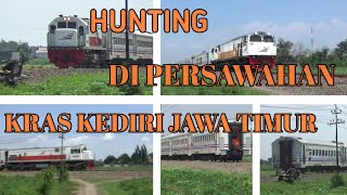 [HUNTING] kereta di persawahan | Kras kediri JAWA TIMUR