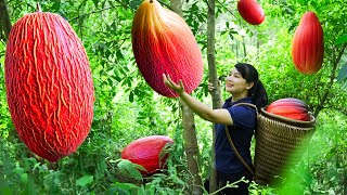 Harvest red Melons, Goes To The Market Sell - Harvesting and Cooking | Tieu Vy Daily Life