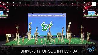 DIA Large Coed - University of South Florida