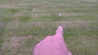 planting flowers at pole archery field