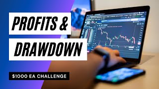 Profits and Some Big Drawdowns! Week 33 Review | $1000 Challenge v3